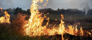 site-feu.jpg -