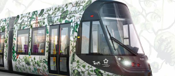 tram.jpg -