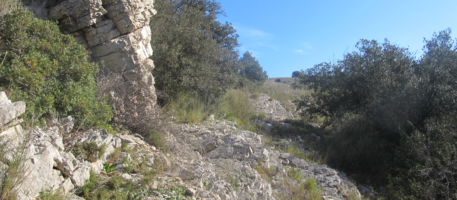 garrigue.png
