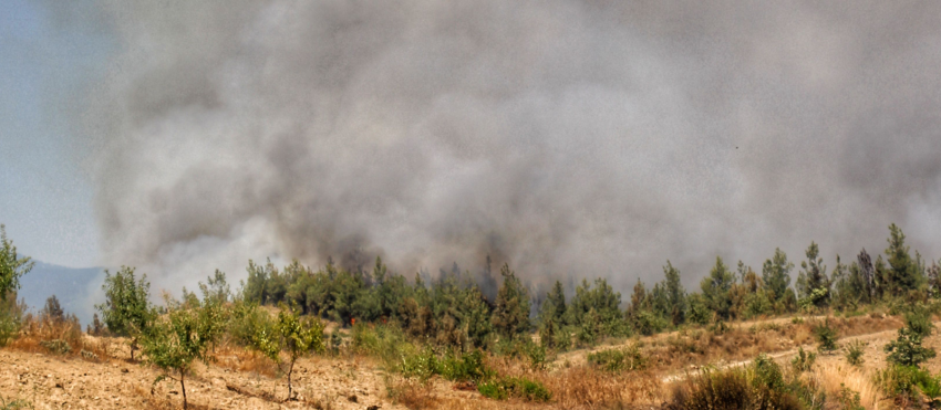 incendie-garrigue.png