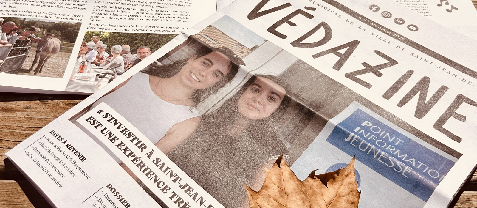 vedazinesite.png