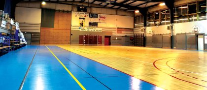 badminton.jpg -
