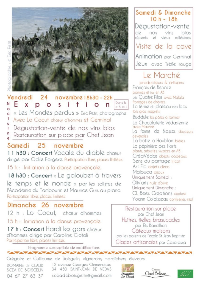 2023-11-24-25-26-fete-des-vignes-2.jpg
