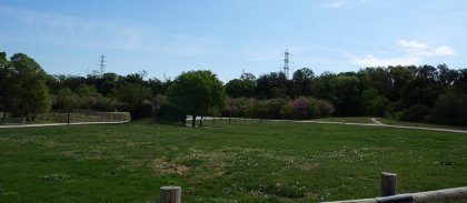 site.jpg -