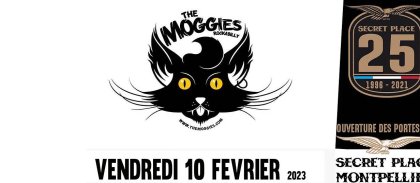 2023-02-10-the-moggies-site.jpg -
