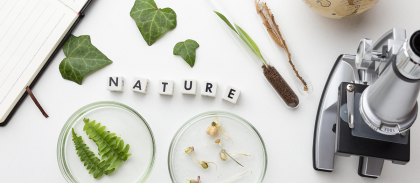 view-plants-glassware.png -