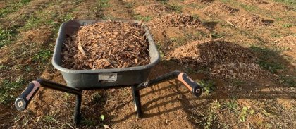 jardin-de-cocagne-mirabeau-thomas-richaud-site.jpg -