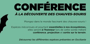 conference-chauve-souris-fav.jpg  -