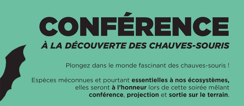 conference-chauve-souris-final-site.jpg -