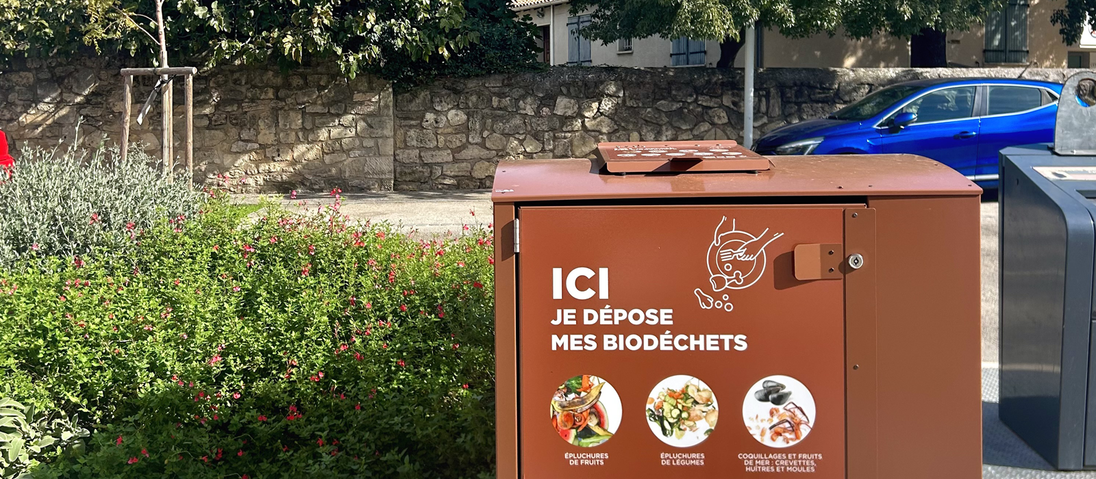biodechetssite.png