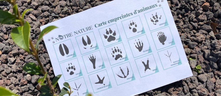 carte-empreintes-animaux-site.jpg -