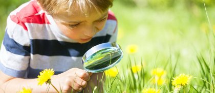 child-with-magnifying-glass-and-dandelions-site.jpg -