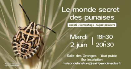 signature-mail-conference-punaise.jpg