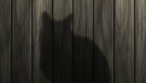 2017-04-03-arrete-chats-errants.jpg 2017 04 03 arrete chats errants