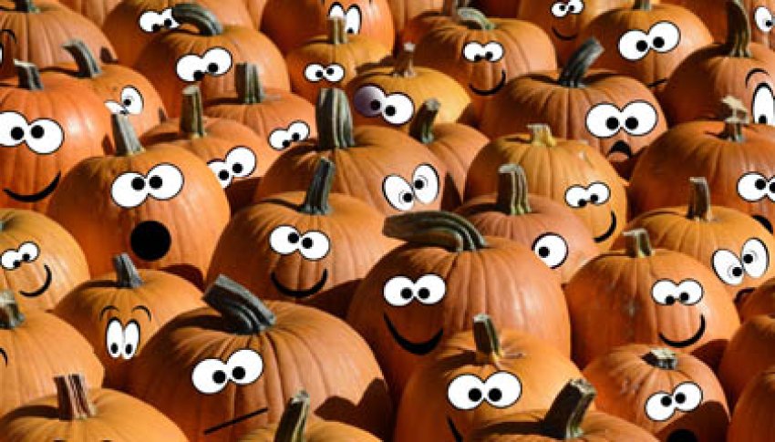 2019-10-20-Courge.jpg 2019 10 20 Courge
