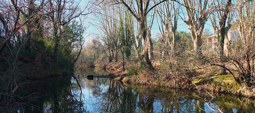 decouvrir-garrigue-riviere.jpg decouvrir garrigue riviere