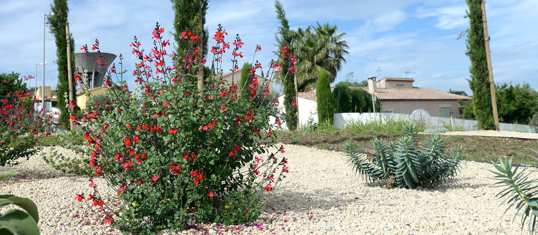 polpub-amenagement-entretien-sans-pesticide.jpg -