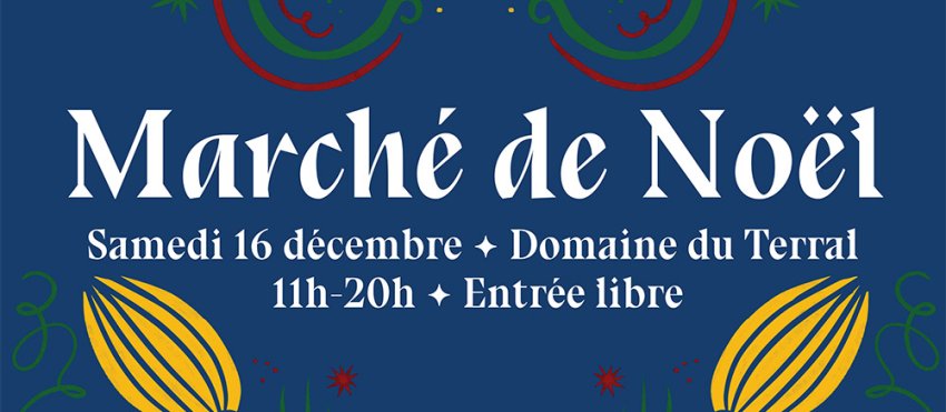 noel-site.jpg