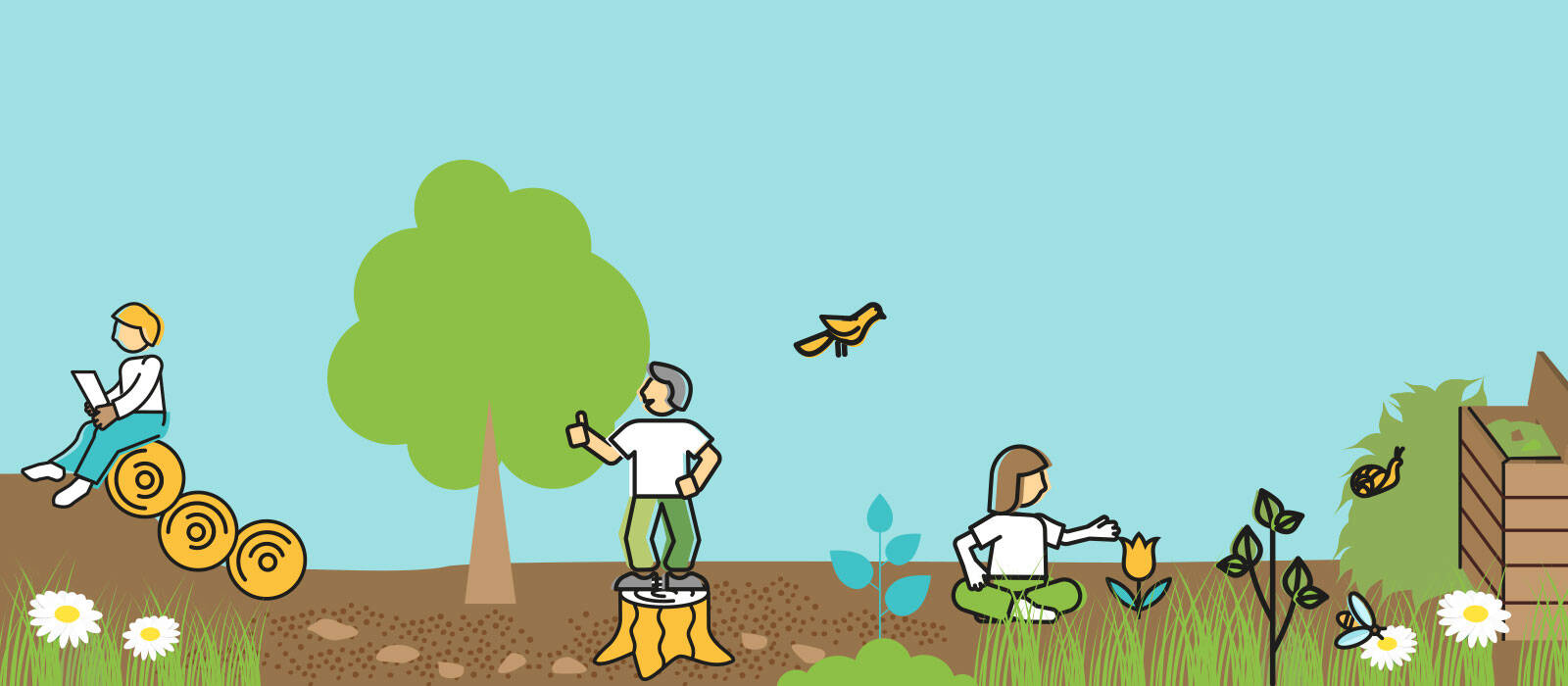 vignette-site.jpg -